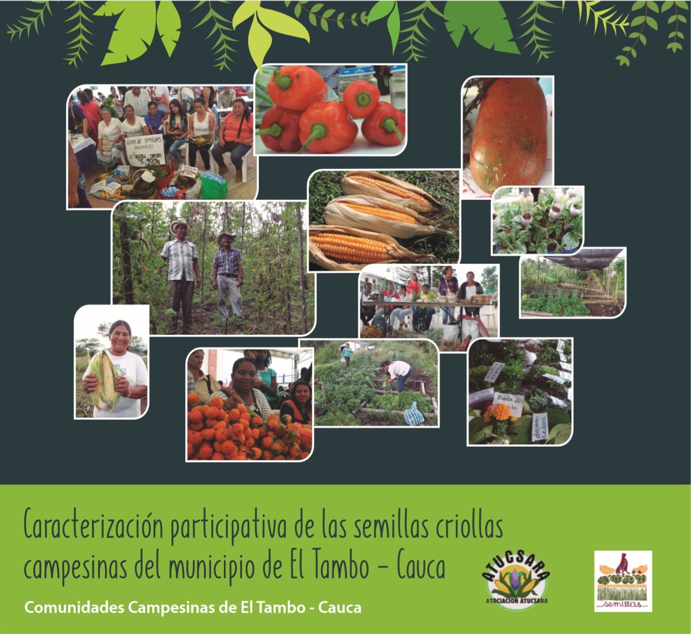 Portal para la defensa de las semillas criollas y nativas