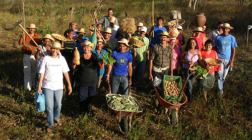 Grafica alusiva a El trabajo de las organizaciones rurales  para el fomento de las formas de agricultura familiar en colombia