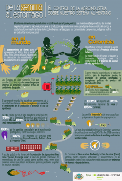 Grafica alusiva a De la semilla al estómago - El control de la agroindustria sobre nuestro sistema agroalimentario 
