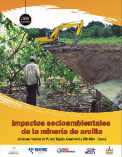 Gráfica alusiva a Impactos socioambientales de la minería de arcilla en los municipios de Puerto Tejada, Guachené y Villa Rica - Cauca.