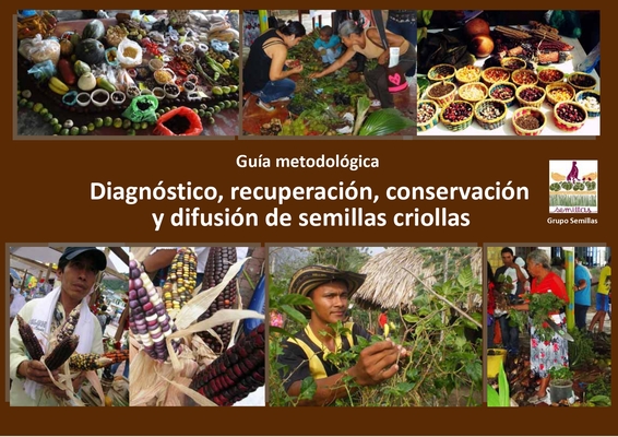 Gráfica alusiva a Guía metodológica Diagnóstico, recuperación, conservación  y difusión de semillas criollas