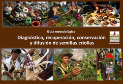 Grafica alusiva a Guía metodológica. Diagnóstico, recuperación, conservación y difusión de semillas criollas