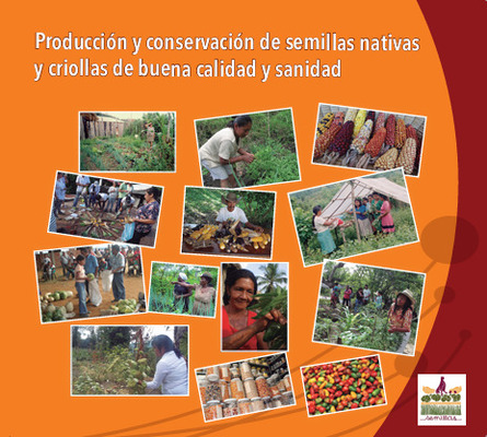 Gráfica alusiva a Producción y conservación de semillas nativas  Producción y conservación de semillas nativas  y criollas de buena calidad y sanidad  y criollas de buena calidad y sanidad