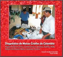 Grafica alusiva a Diagnóstico de Maíces Criollos-Región Andina Centro y Orinoquia