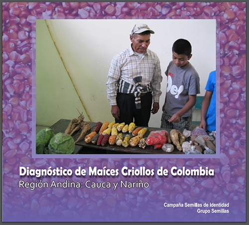 Grafica alusiva a Diagnóstico de Maíces Criollos-Región Cauca y Nariño