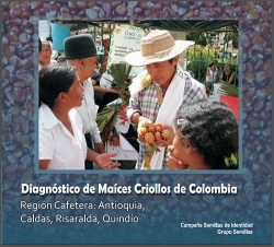 Grafica alusiva a Diagnóstico de Maíces Criollos-Región Cafetera