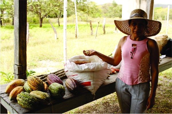 Gráfica alusiva a Boletín-Estado del Derecho Humano a la Alimentación y Nutrición Adecuada en Colombia.