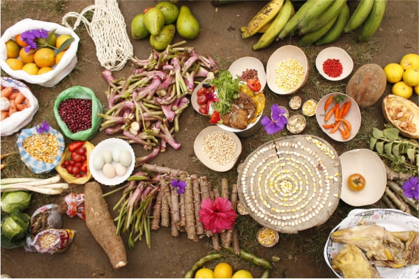 Gráfica alusiva a De la semilla al estómago-  ¿De dónde provienen los alimentos que llegan a nuestras mesas?