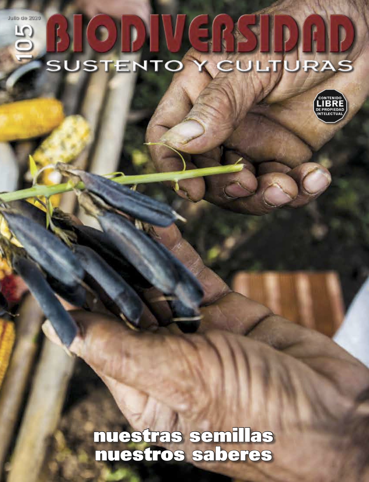 Imagen del banner de la sección