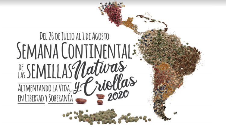 Gráfica alusiva a Semana Continental de las Semillas Nativas y Criollas 2020