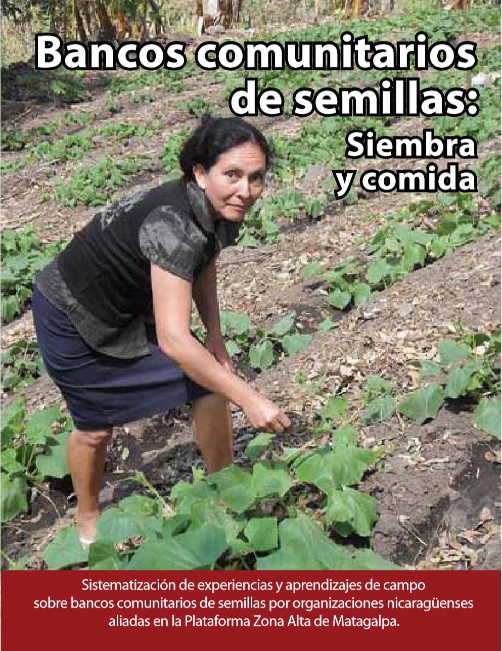 Portal para la defensa de las semillas criollas y nativas